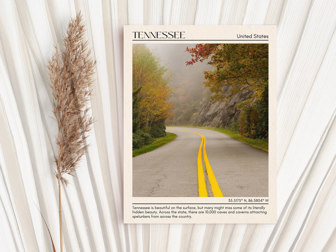Tennessee Wall Art, USA