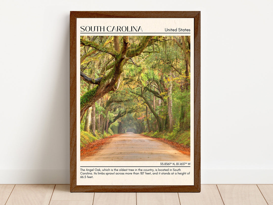 South Carolina Wall Art, USA