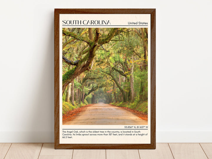 South Carolina Wall Art, USA