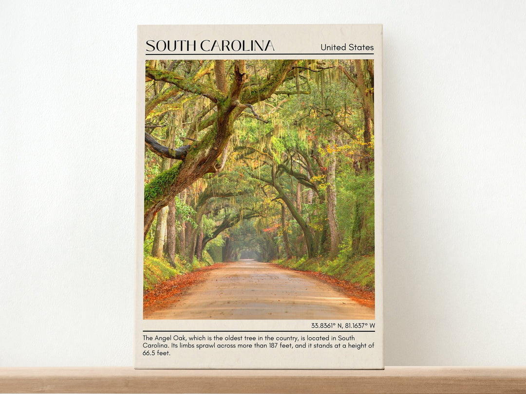 South Carolina Wall Art, USA