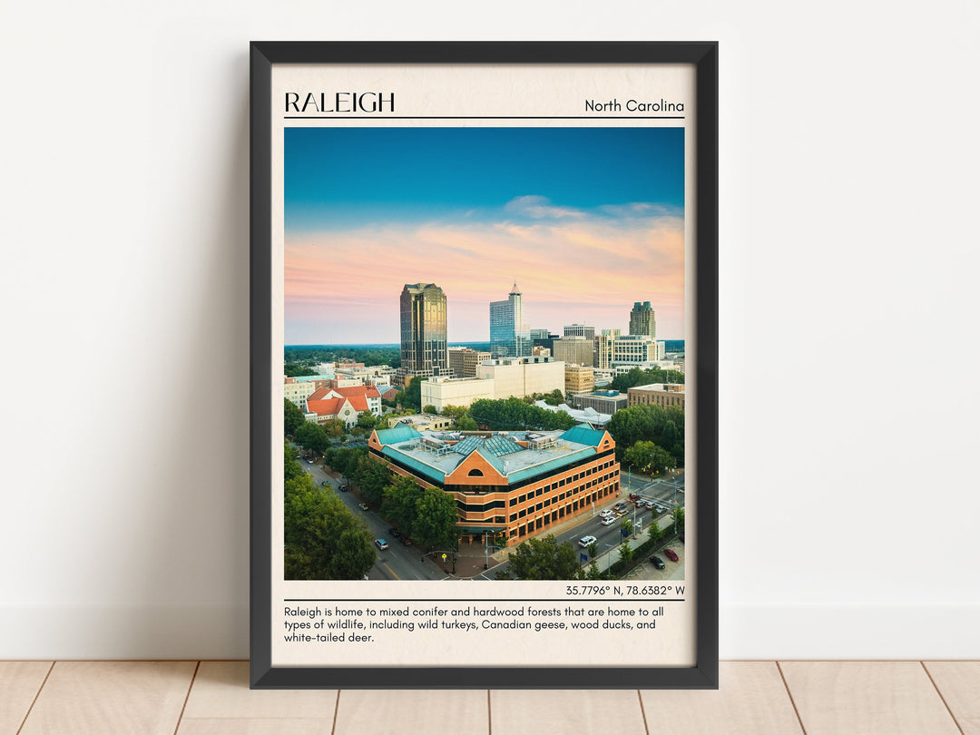 Raleigh Wall Art, North Carolina, USA