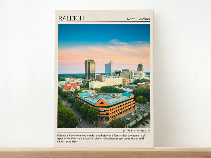 Raleigh Wall Art, North Carolina, USA