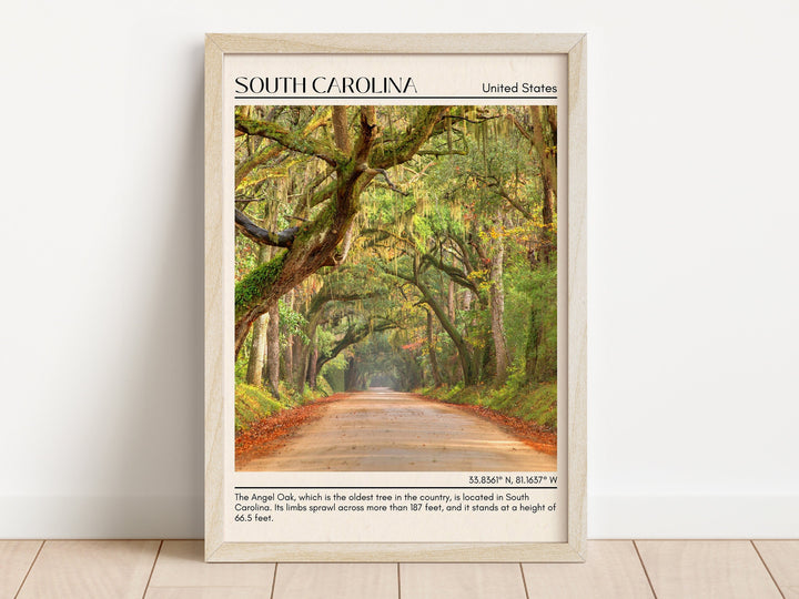 South Carolina Wall Art, USA