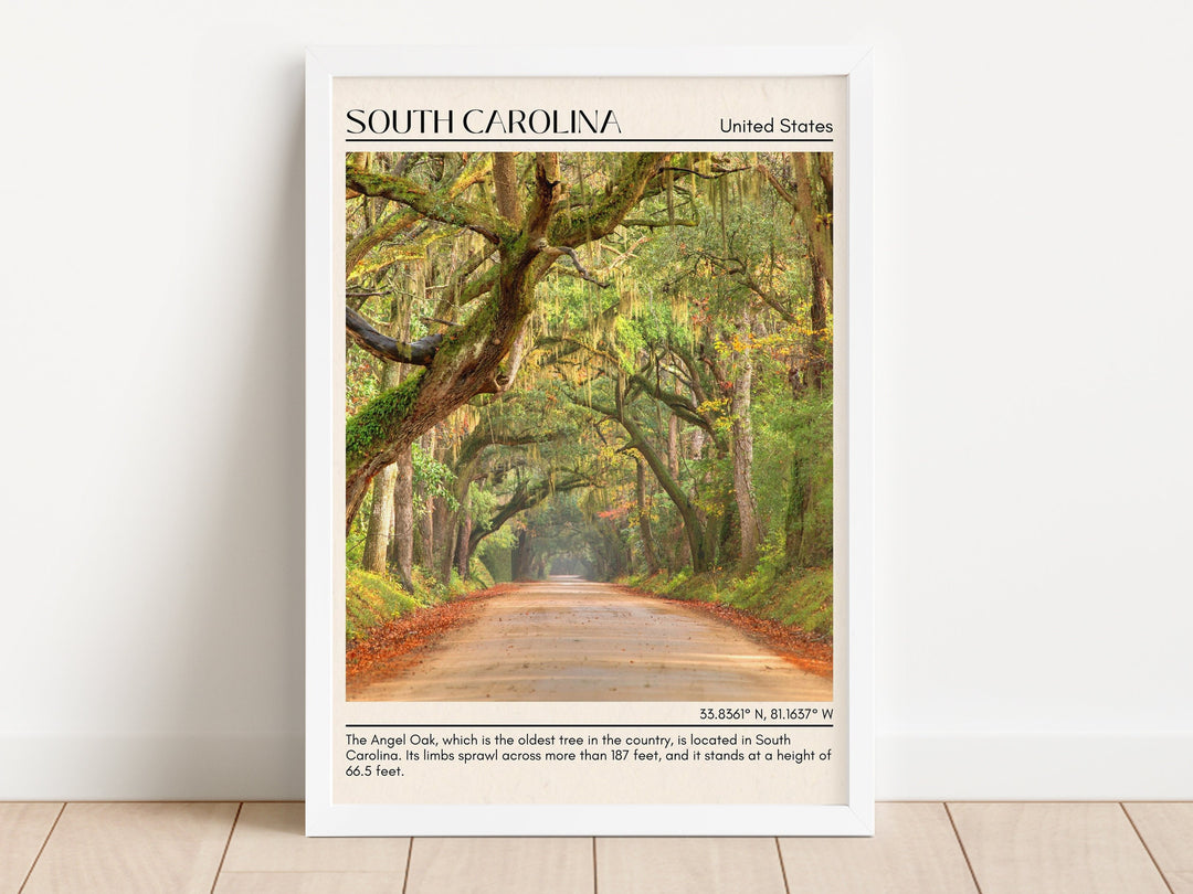 South Carolina Wall Art, USA