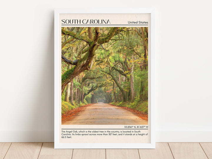 South Carolina Wall Art, USA