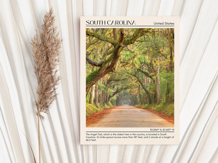 South Carolina Wall Art, USA