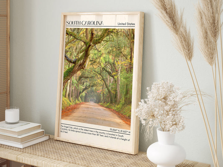 South Carolina Wall Art, USA