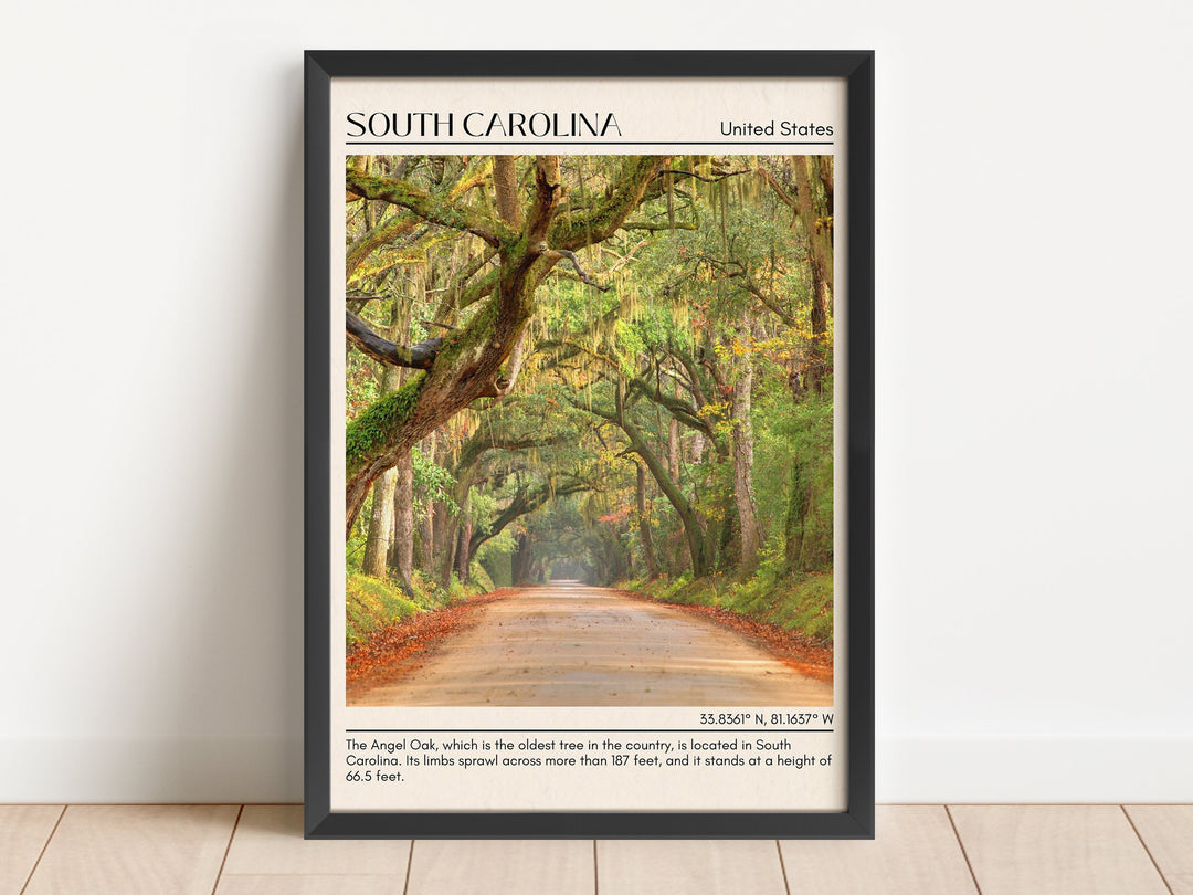 South Carolina Wall Art, USA