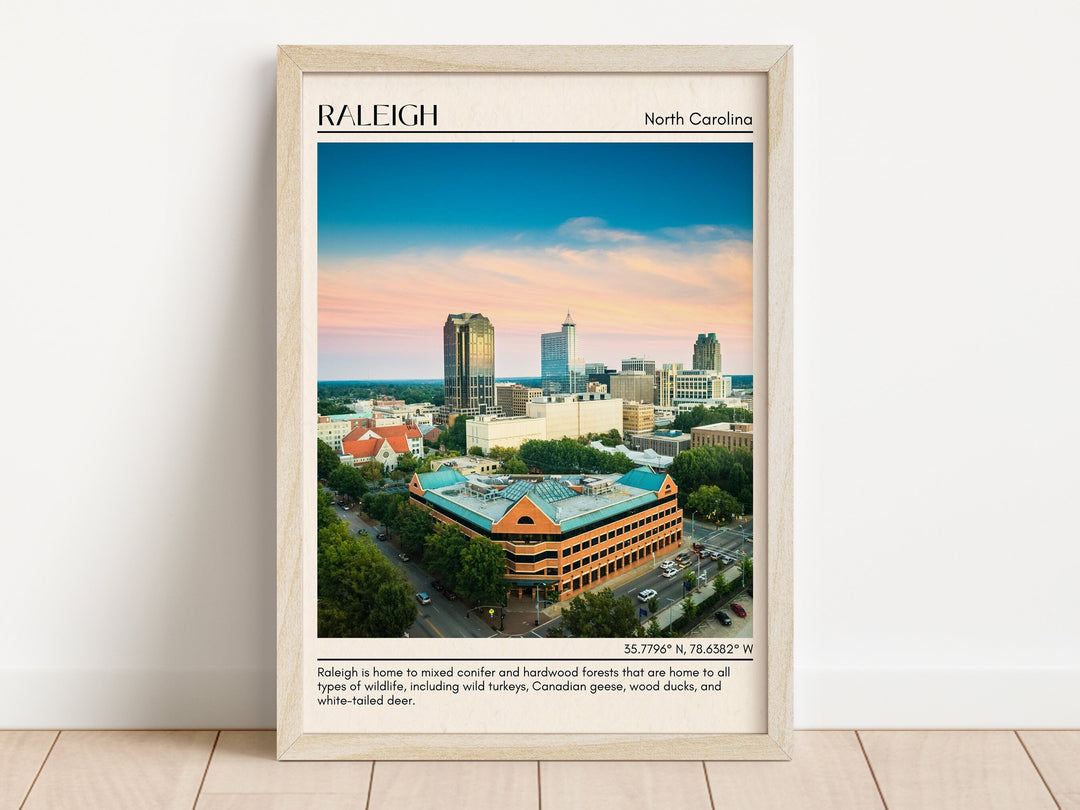 Raleigh Wall Art, North Carolina, USA