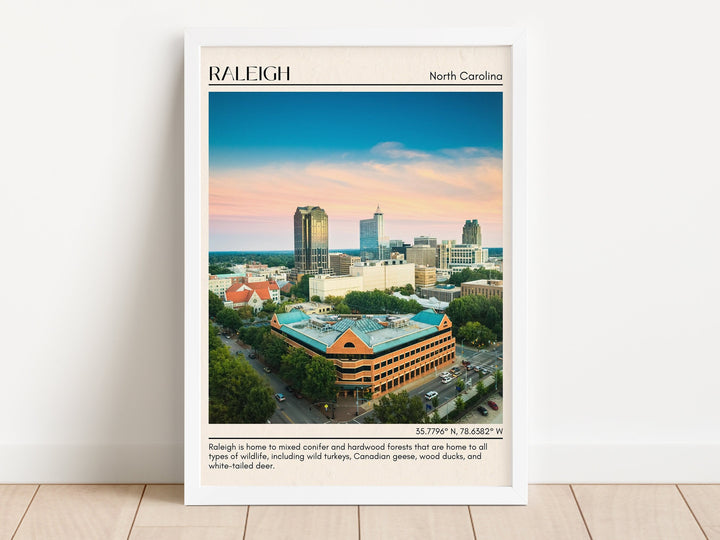 Raleigh Wall Art, North Carolina, USA