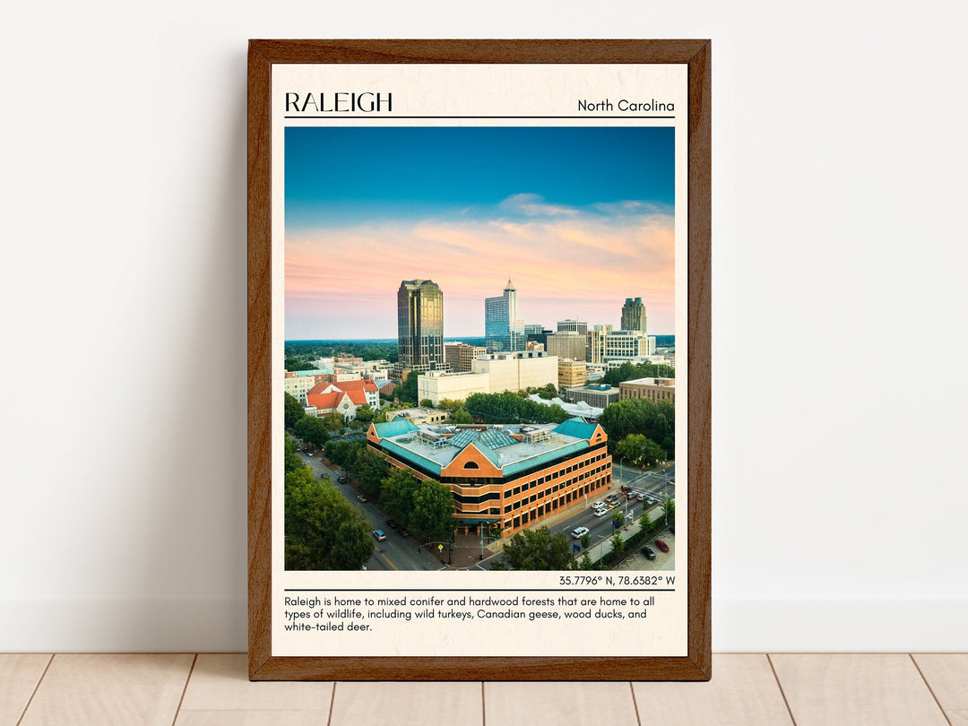Raleigh Wall Art, North Carolina, USA