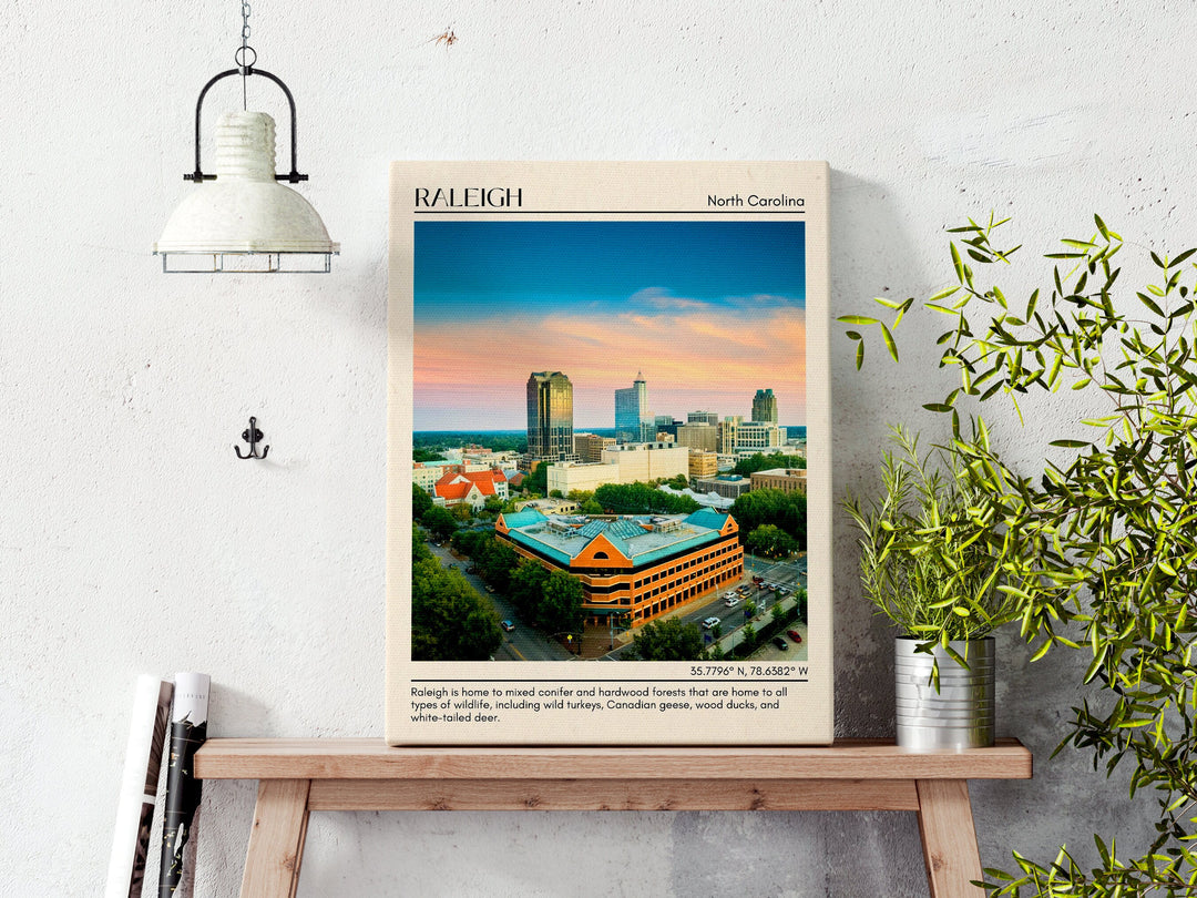 Raleigh Wall Art, North Carolina, USA