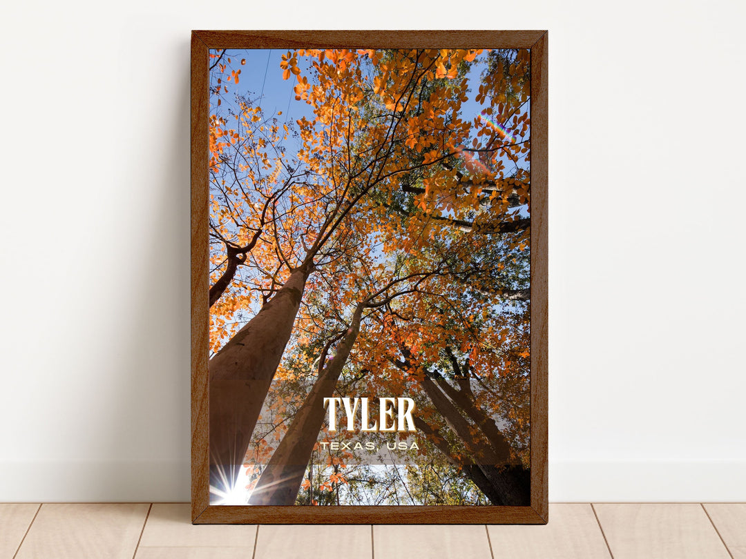 Tyler Retro Wall Art, Texas, USA
