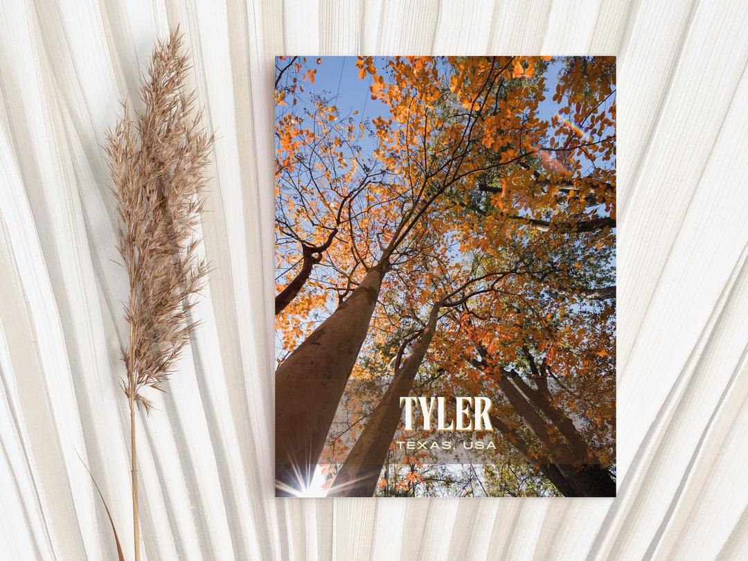 Tyler Retro Wall Art, Texas, USA