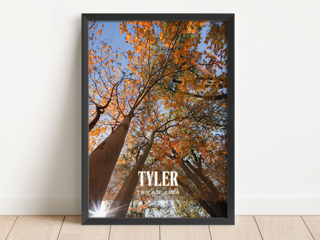 Tyler Retro Wall Art, Texas, USA