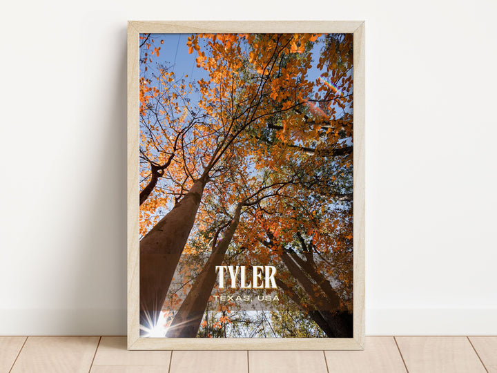 Tyler Retro Wall Art, Texas, USA