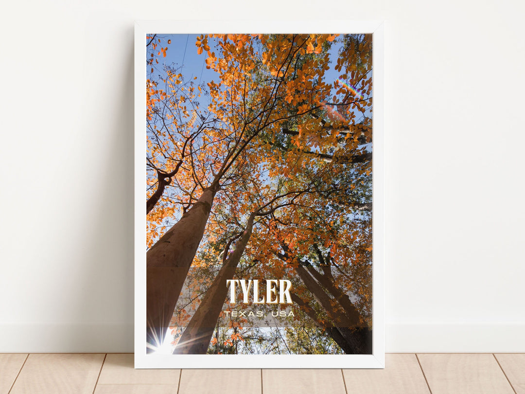 Tyler Retro Wall Art, Texas, USA