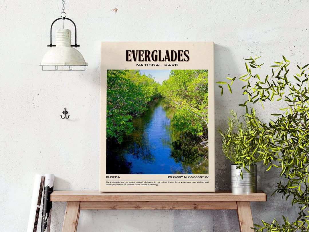 Unveiling the Natural Wonders: 5 Things to Do in Everglades National Park, Florida