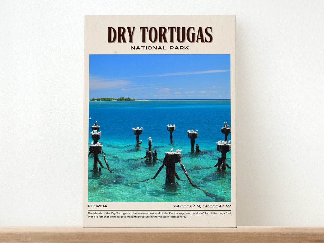 5 Unforgettable Experiences in Dry Tortugas National Park, Florida