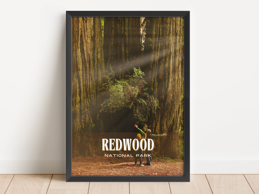 Exploring the Majestic Redwood National Park: 5 Unforgettable Experiences