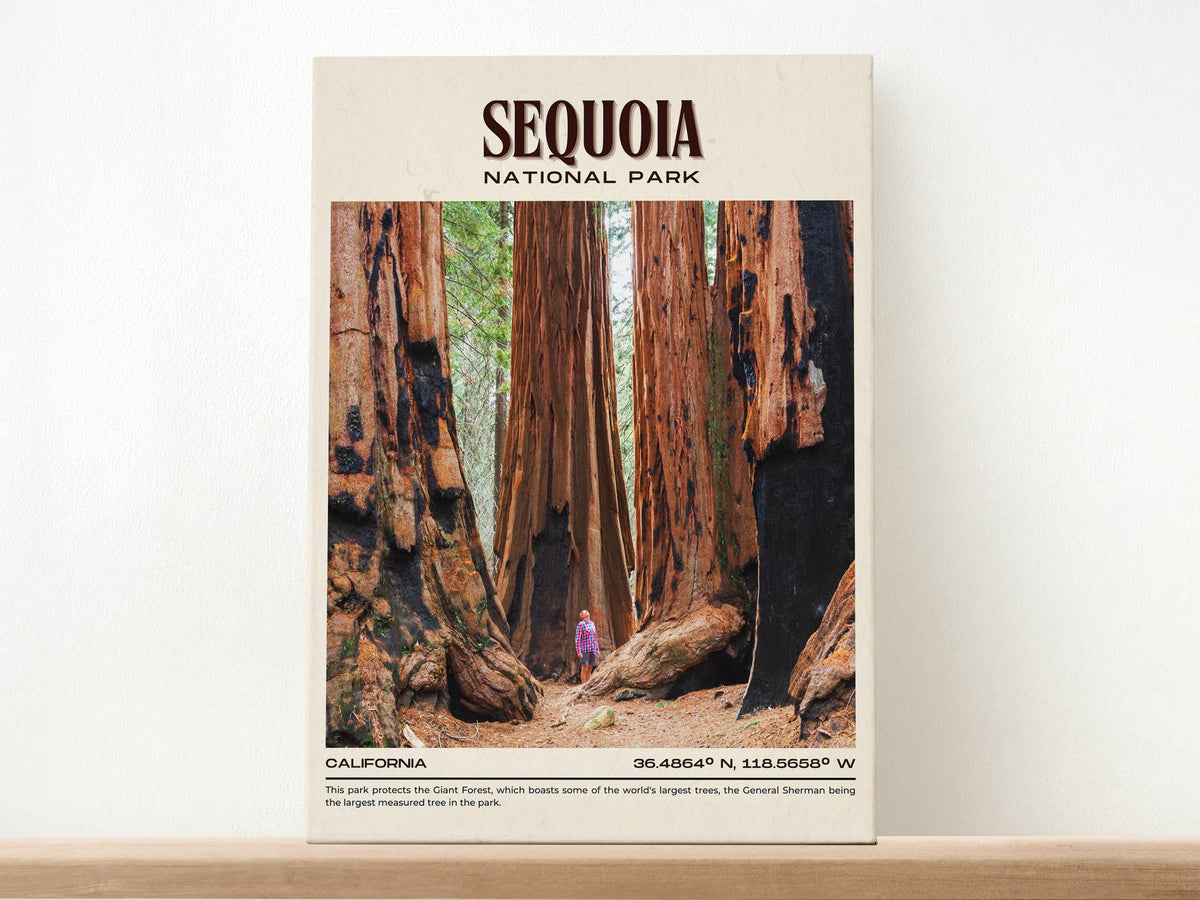 Sequoia National Park Vintage Wall Art, California, USA