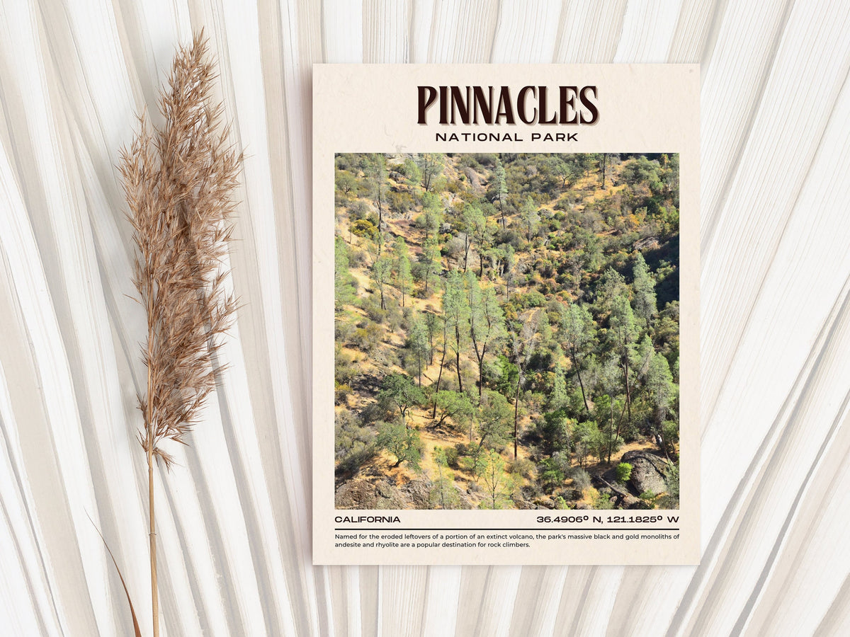 Exploring the Wonders of Pinnacles National Park: 5 Must-Do Activities