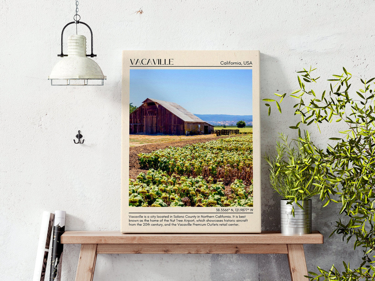 Explore the Hidden Gems: 5 Things to Do in Vacaville, California