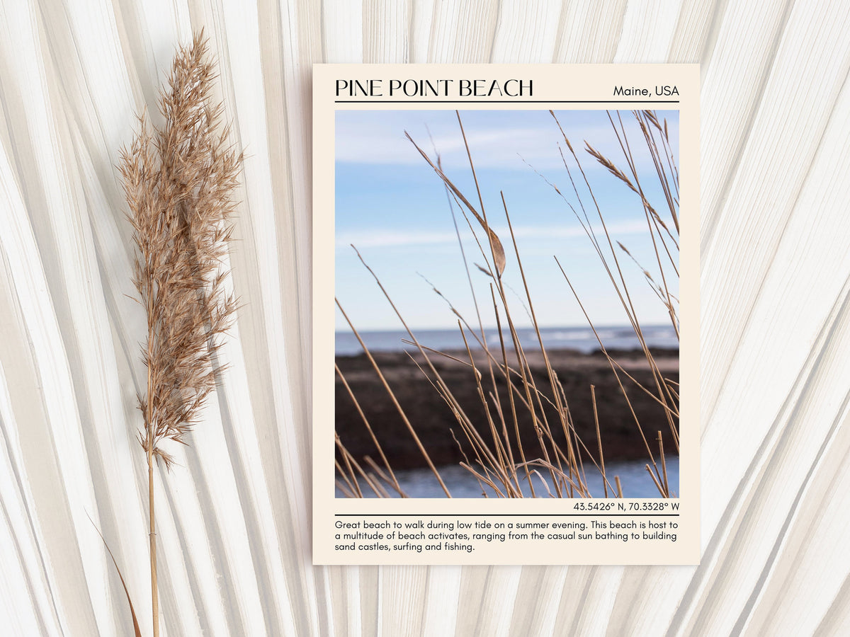 Discover Coastal Bliss: 5 Essential Activities to Experience at Pine Point Beach, Maine