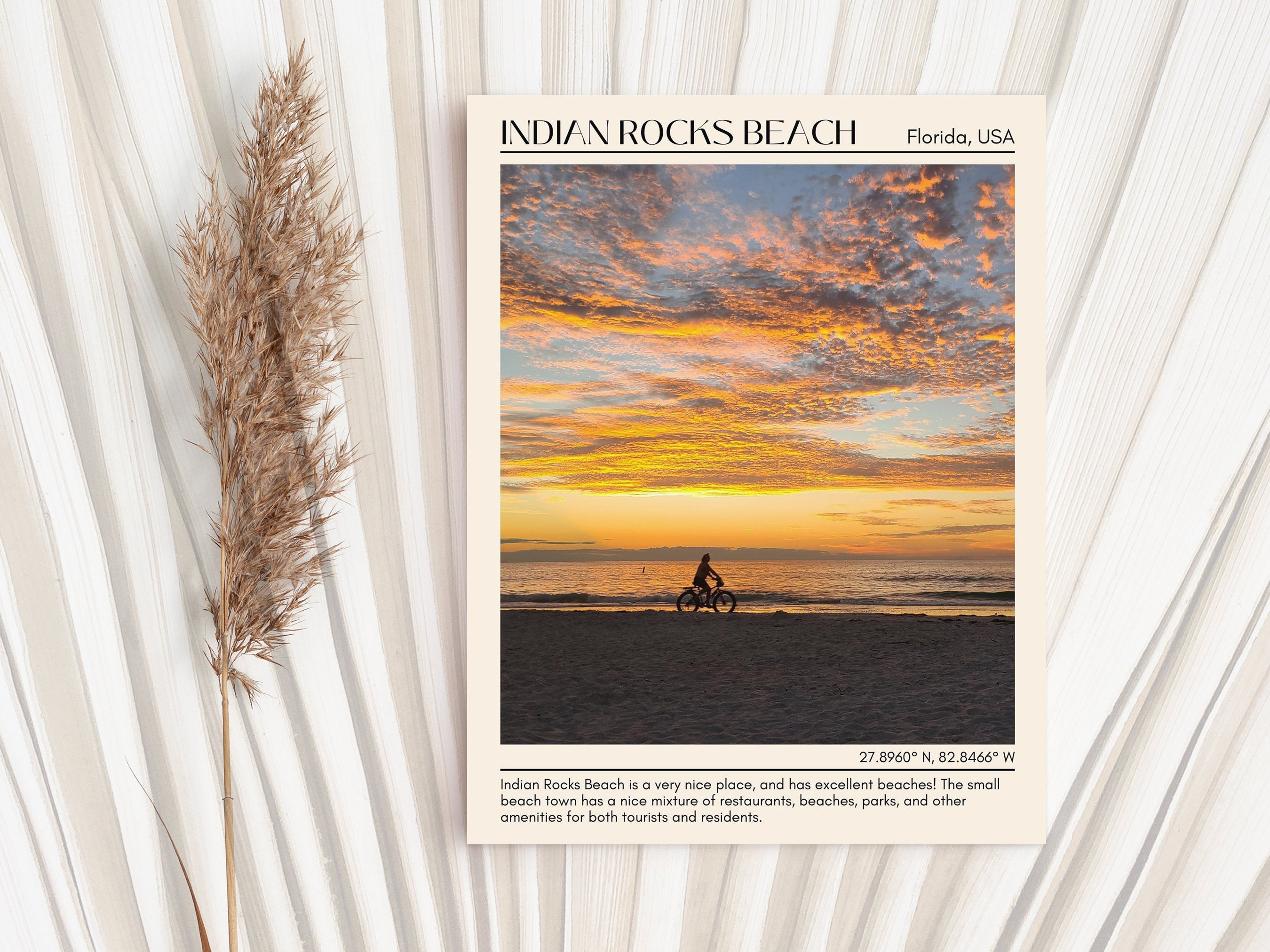 Explore Indian Rocks Beach, Florida: 5 Must-Experience Activities and ...