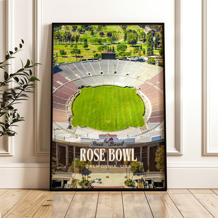 Rose Bowl Stadium Football Wall Art