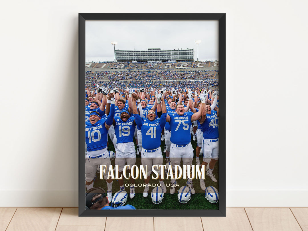 Falcon Stadium Football Wall Art