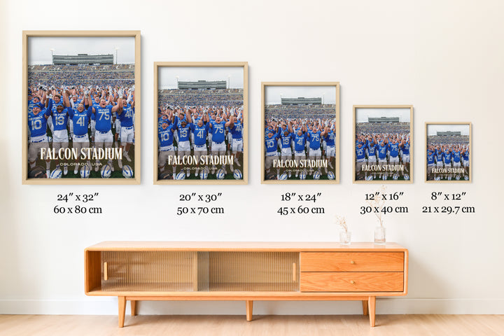 Falcon Stadium Football Wall Art