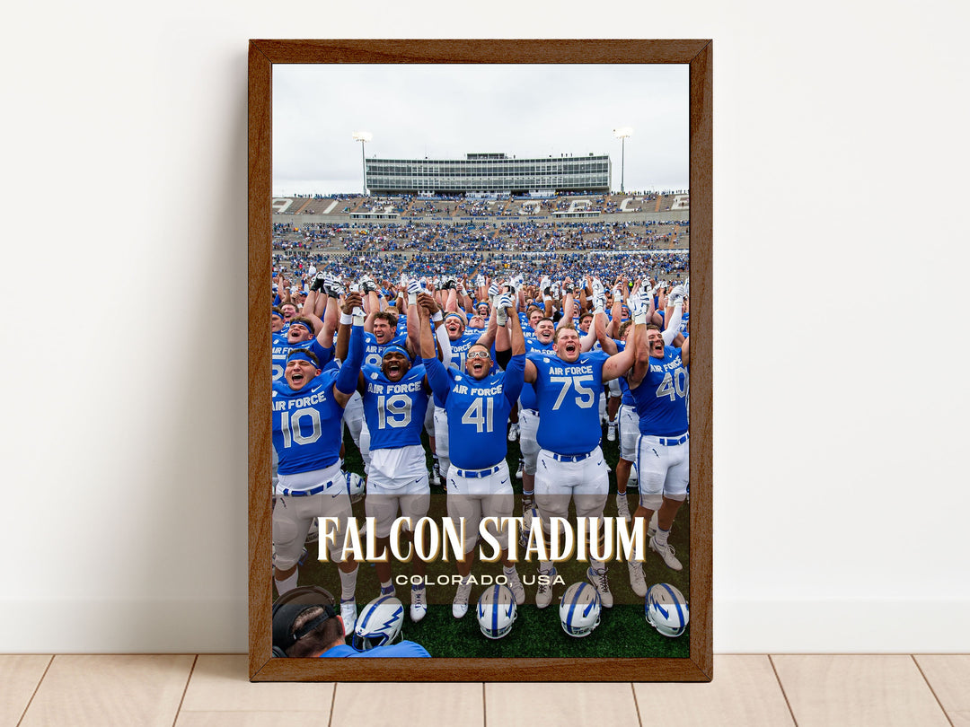 Falcon Stadium Football Wall Art