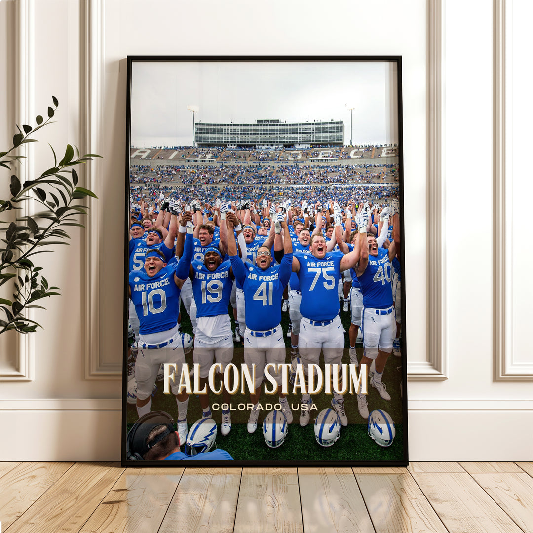 Falcon Stadium Football Wall Art