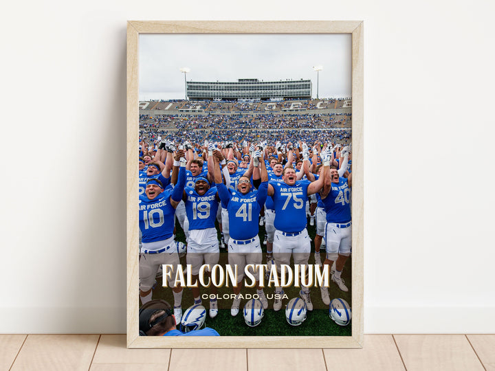 Falcon Stadium Football Wall Art