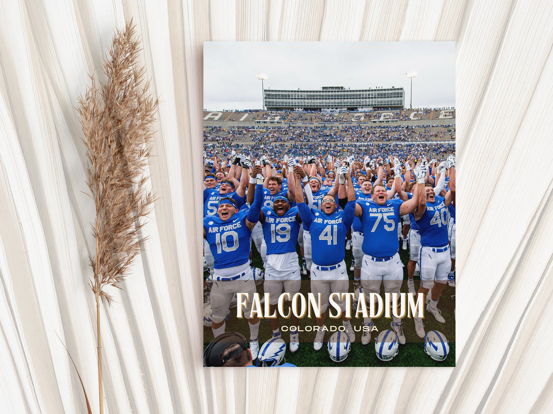 Falcon Stadium Football Wall Art