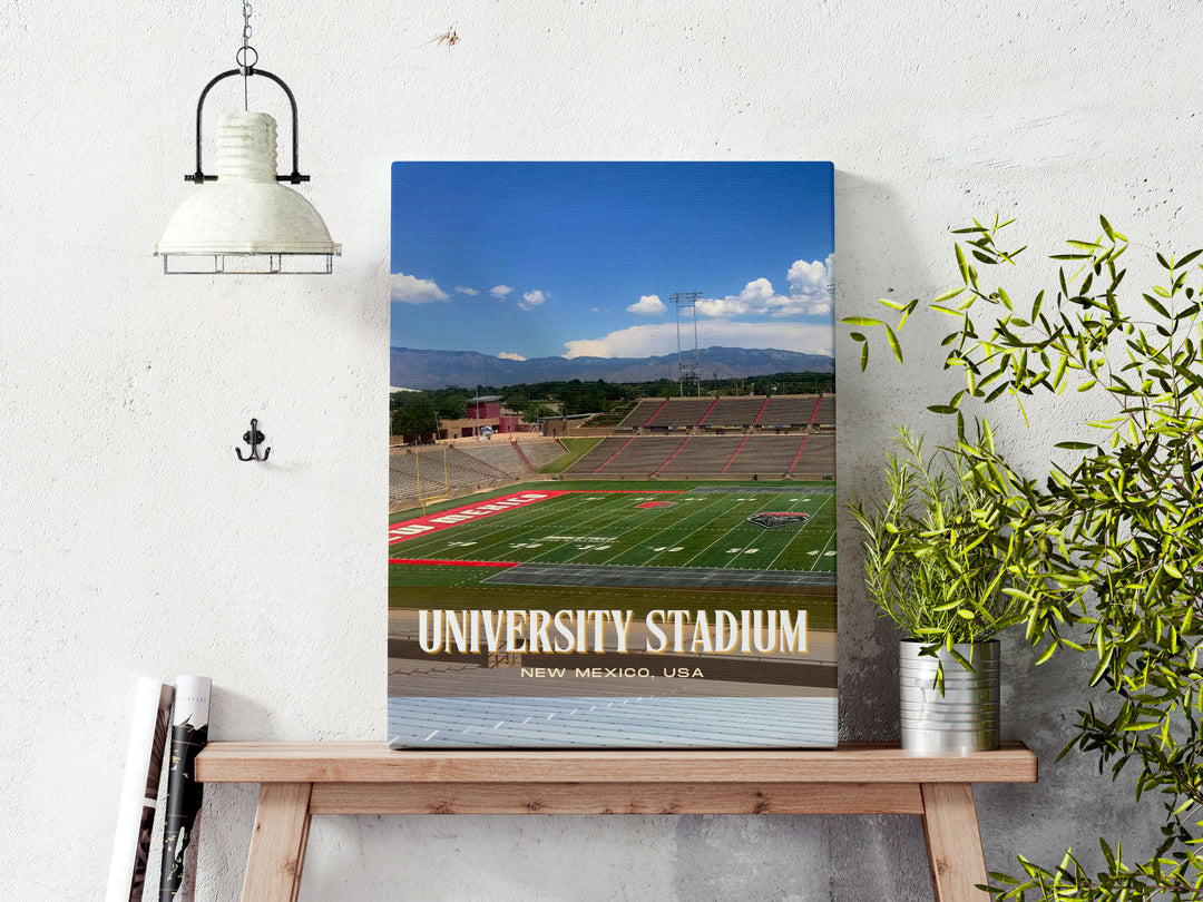 University Stadium Football Wall Art