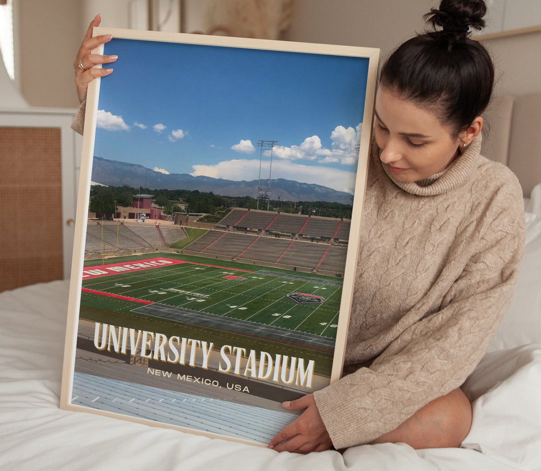 University Stadium Football Wall Art