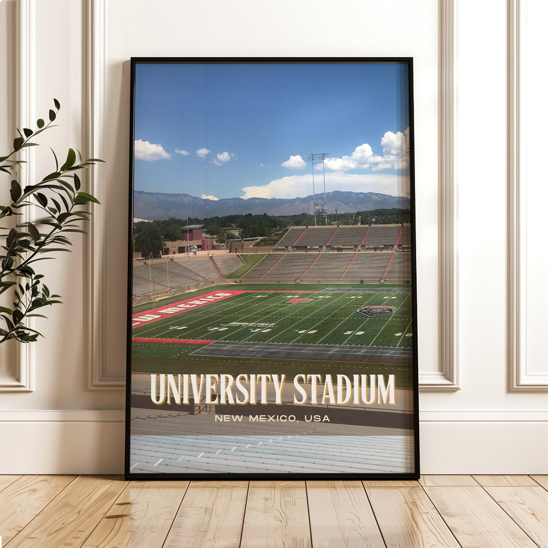 University Stadium Football Wall Art