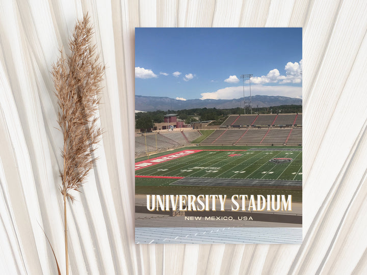 University Stadium Football Wall Art