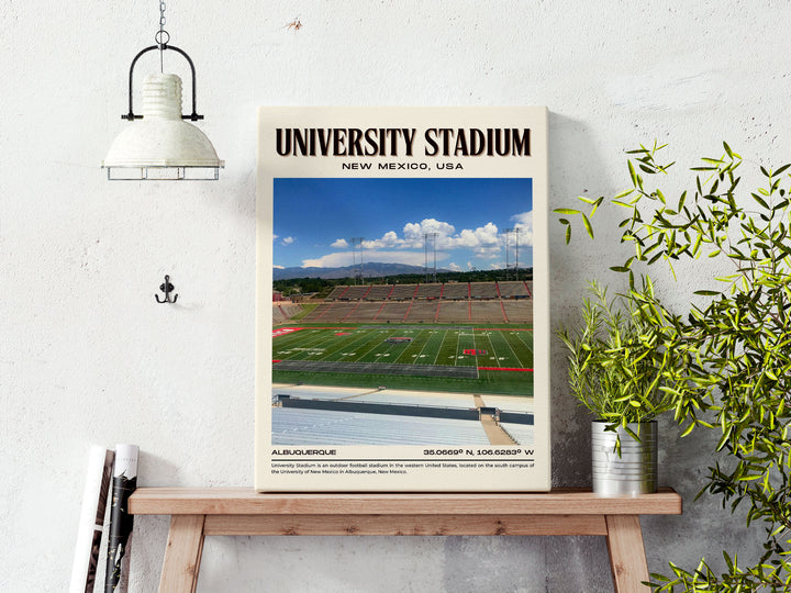 University Stadium Football Retro Wall Art