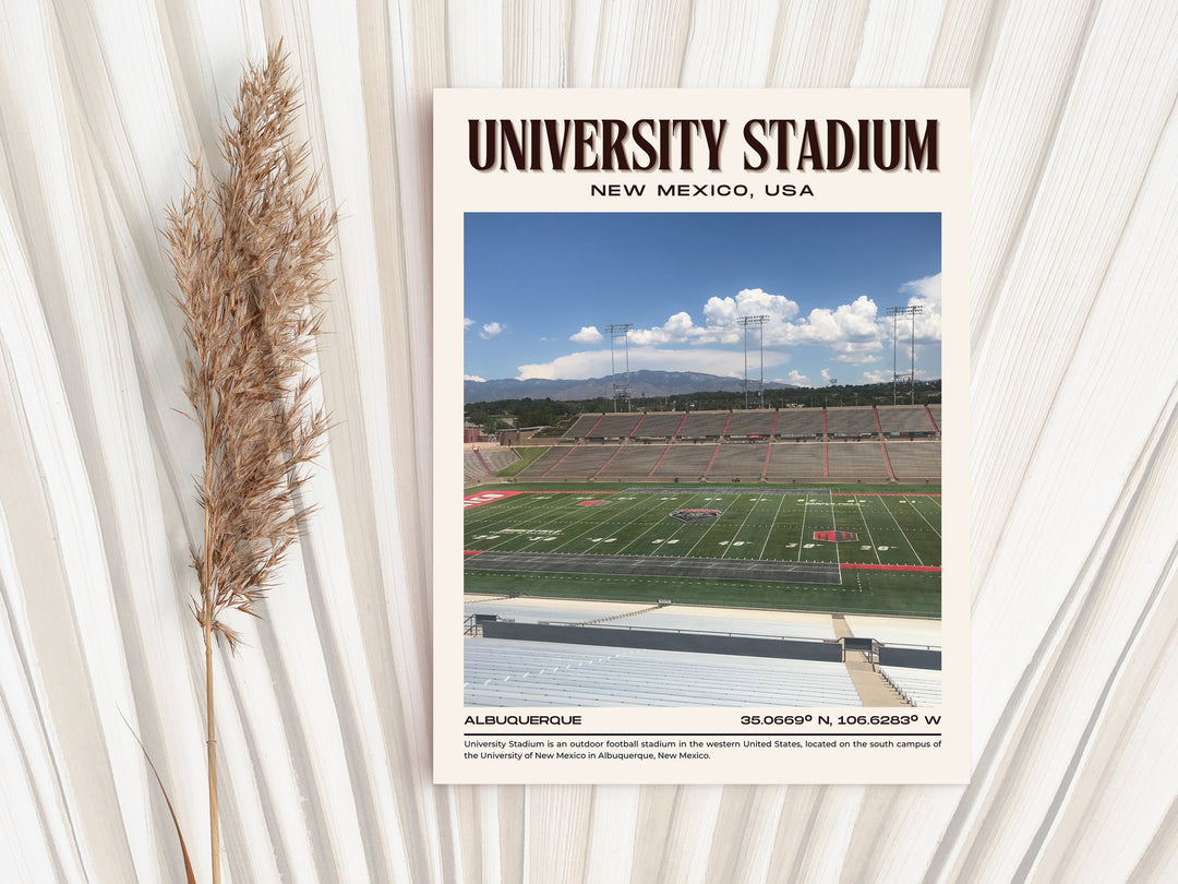 University Stadium Football Retro Wall Art