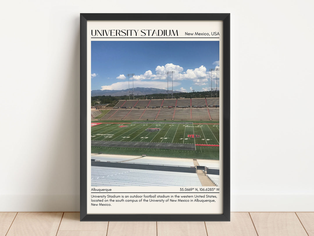 University Stadium  Football Minimal Wall Art