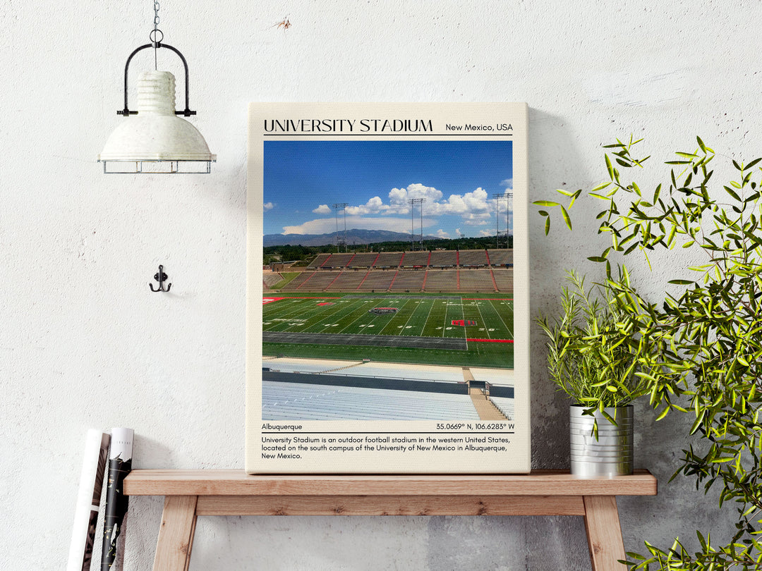 University Stadium  Football Minimal Wall Art