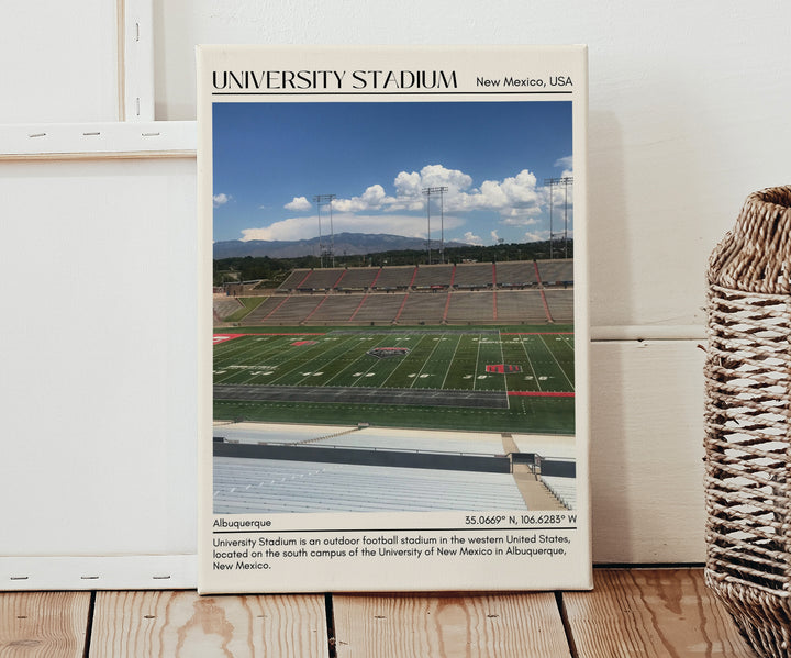 University Stadium  Football Minimal Wall Art