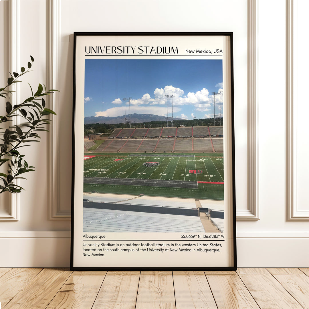 University Stadium  Football Minimal Wall Art