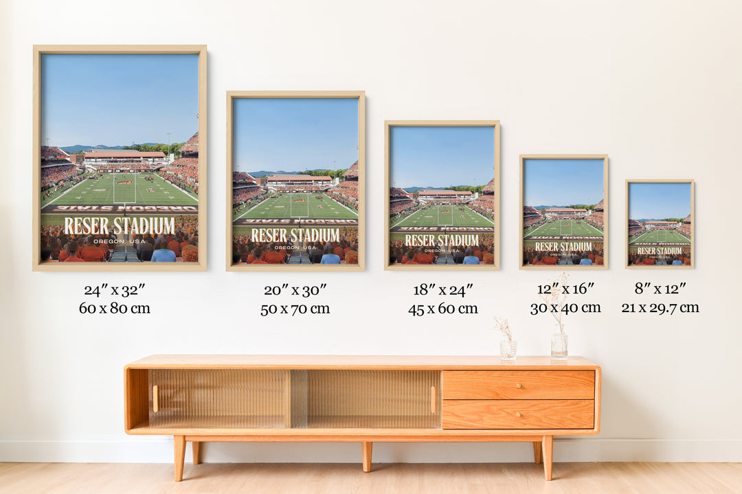 Reser Stadium Football Wall Art