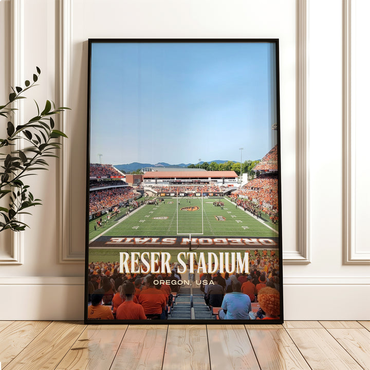 Reser Stadium Football Wall Art