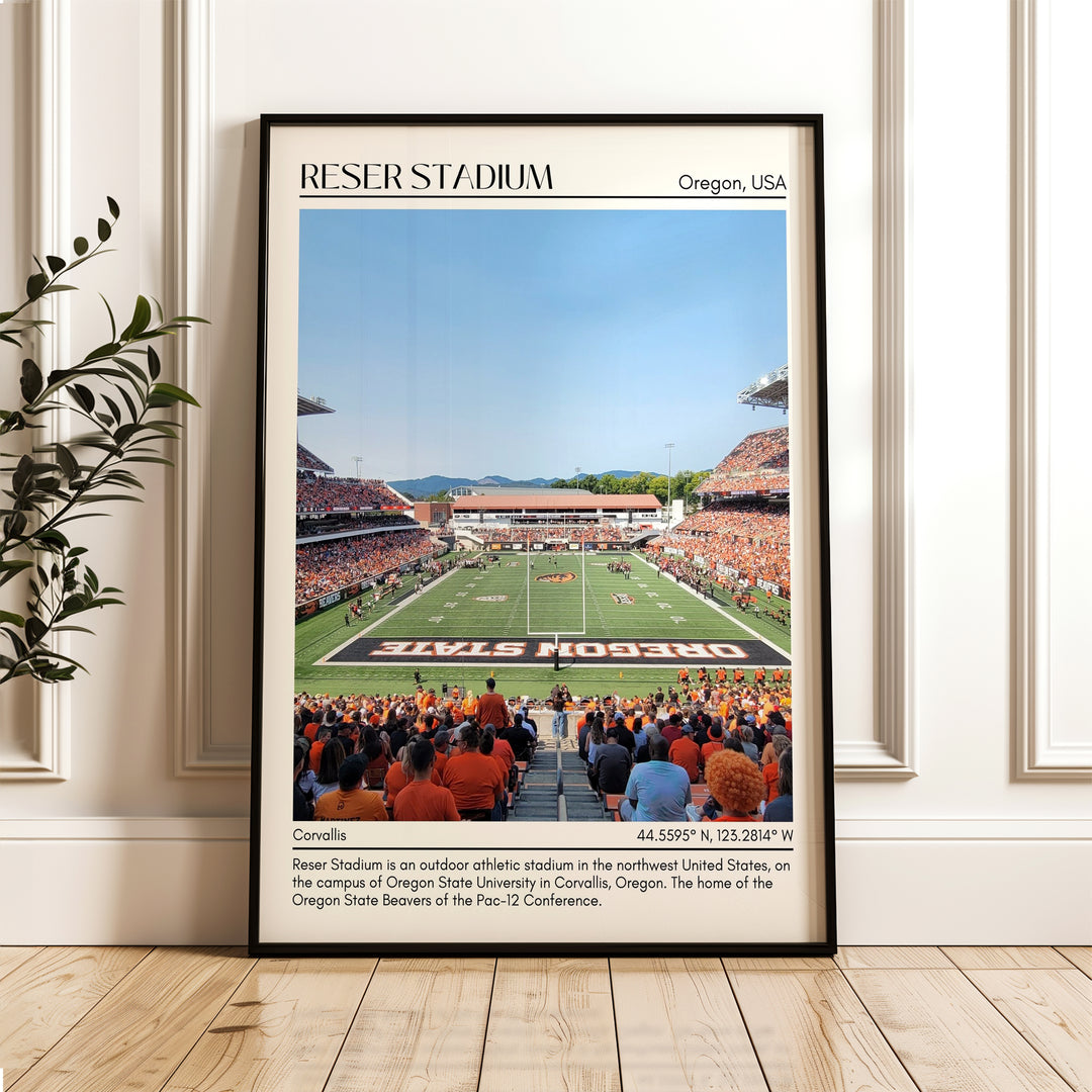 Reser Stadium Football Minimal Wall Art