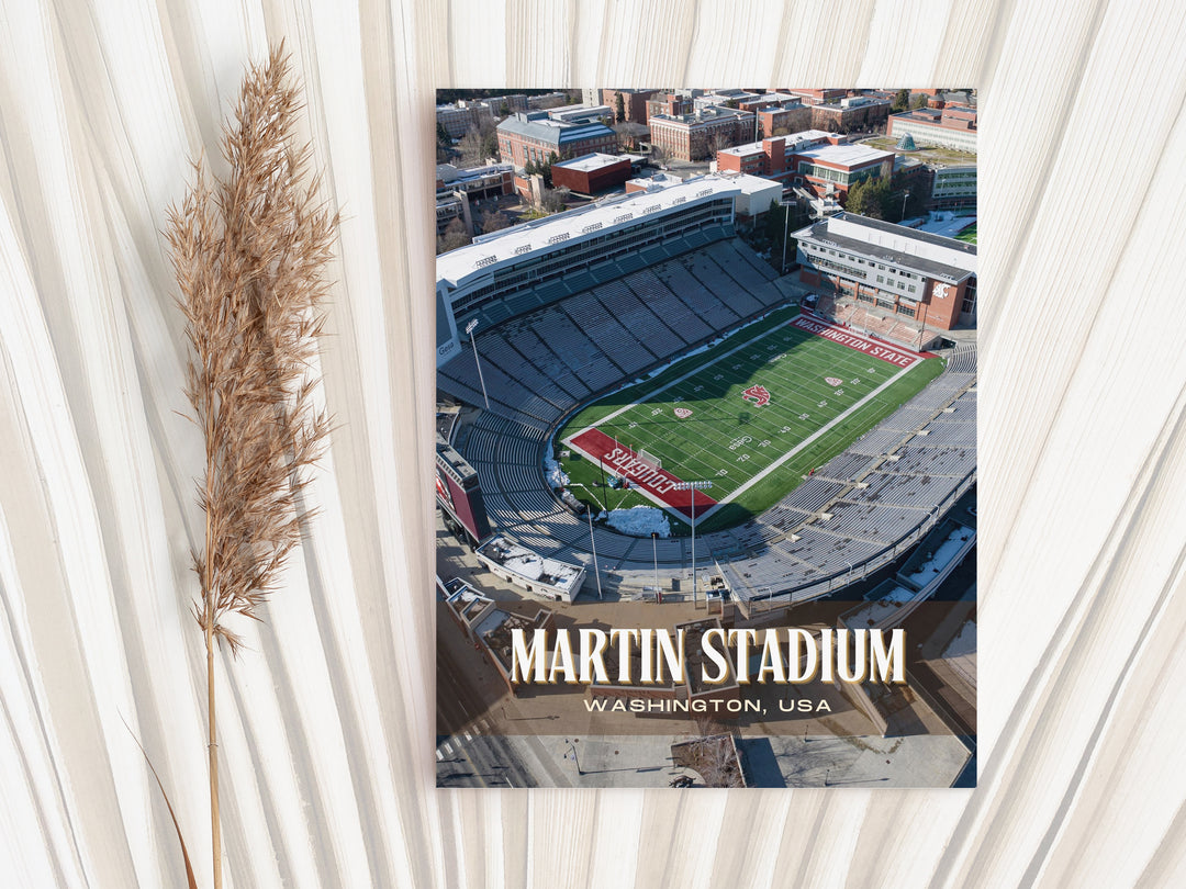 Martin Stadium Football Wall Art